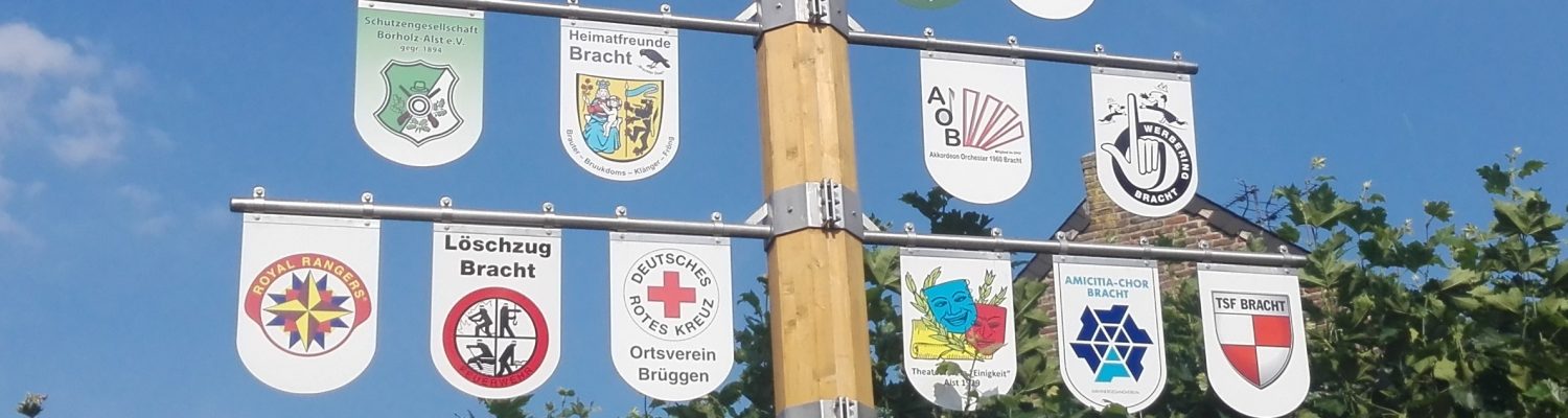 Bracht 3